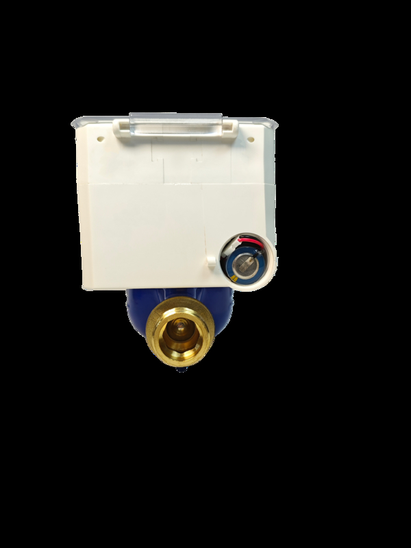 12 kg STW36B Voorafbetaalde watermeter die het waterverbruik meet nauwkeurig Duurzaam Geschikt voor commerciële en residentiële gebruik