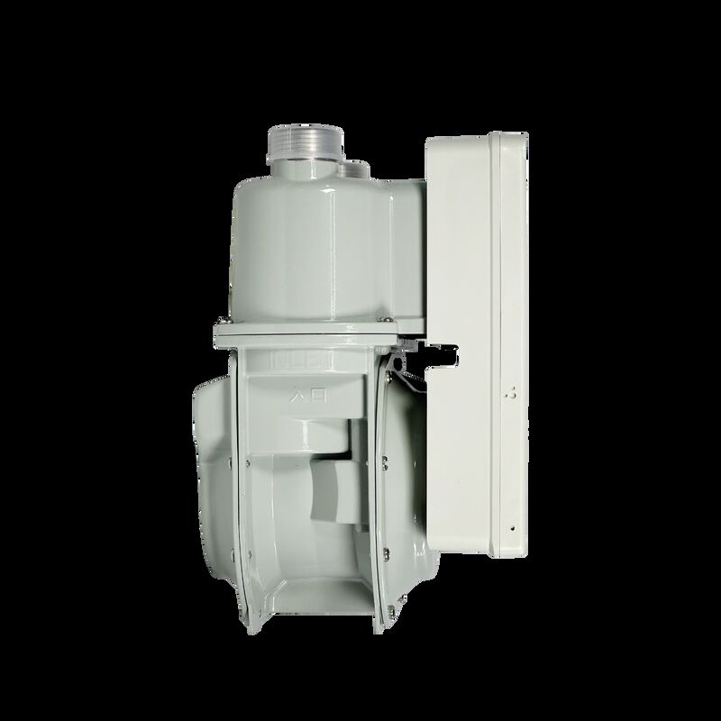 Indonesische standaard STS prepaid gasmeter - LoRa Remote Monitoring & Multi-Tariff Support