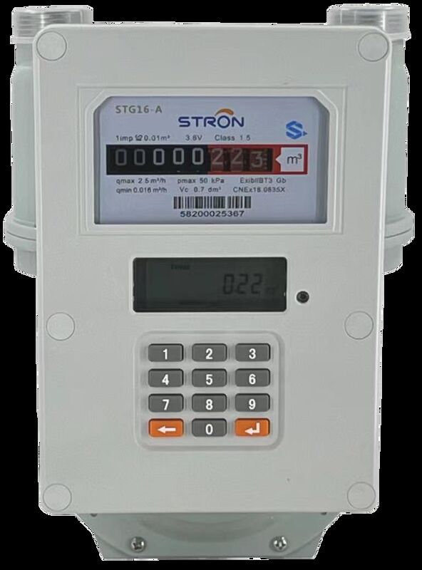 STS prepaid Smart Gas Meter uitgerust met manipulatie-detectie, updates van de firmware op afstand en realtime consumptiewaarschuwingen voor gasbedrijven
