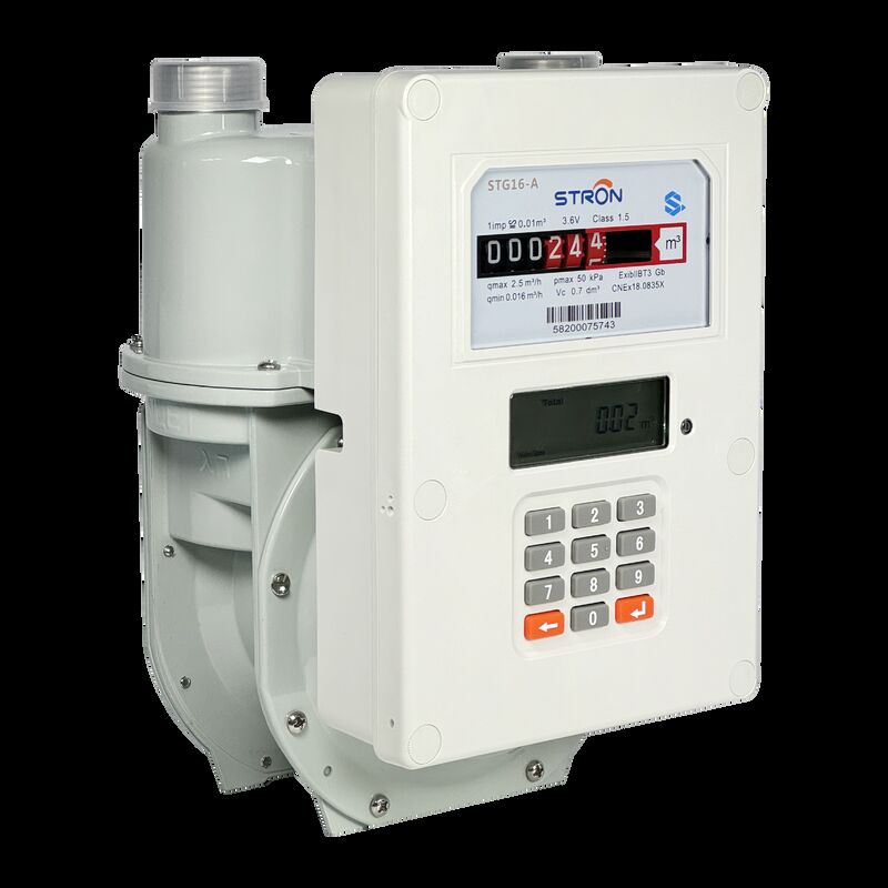 Smart Gas Meter digital meter providing continuous gas flow monitoring and integration with enterprise resource systems