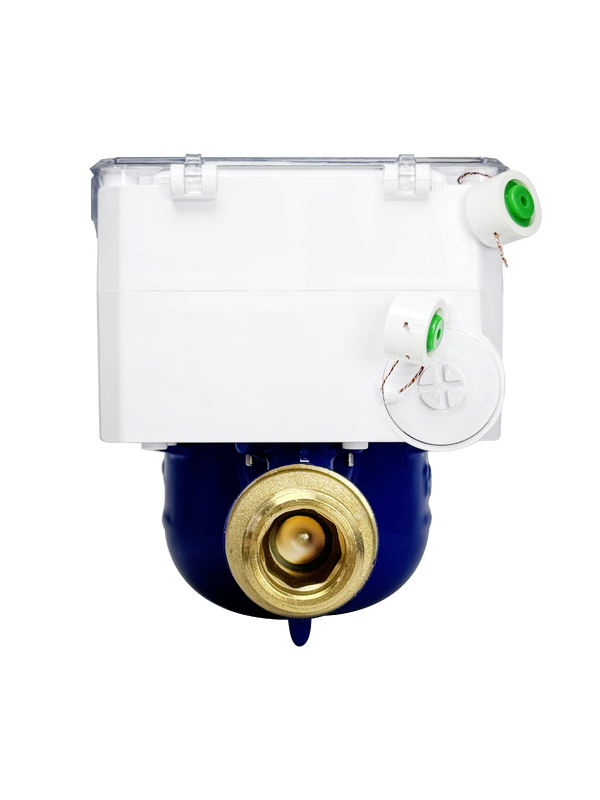 LoRaWAN Smart Water Meter real time monitoring capabilities supporting proactive maintenance and improved water system performance