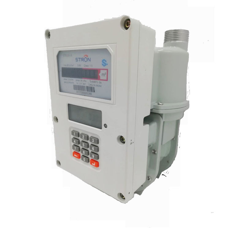 Meter van de het Gasstroom van STS 2.5m3/H 1.2L de Draagbare met Aluminiumgeval