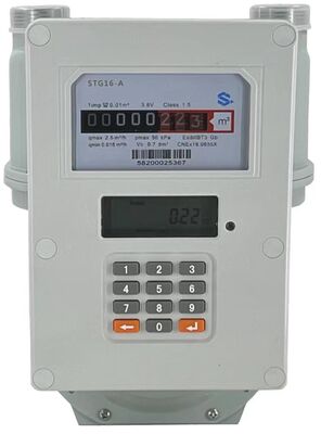 STS Keypad Prepaid Gasmeter met Vending System en API