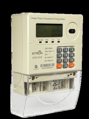 Keypad Input Way Single Phase Smart Prepaid Electricity Meter Met behulp van Smart Digital Meter voor het meten van het energieverbruik